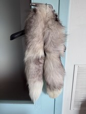 Collo Di Volpe Grigia