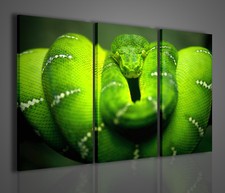 QUADRI MODERNI SNAKE PITON
