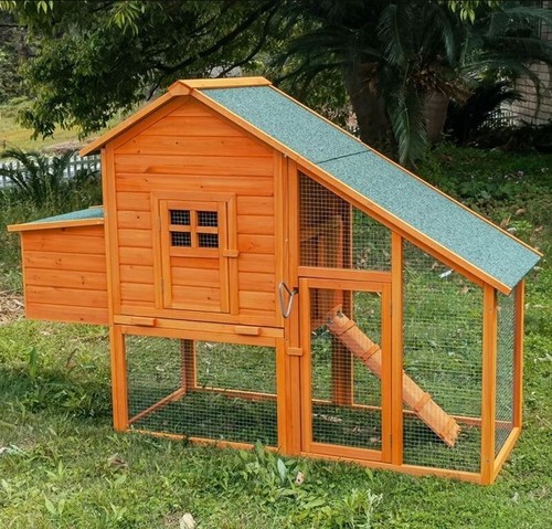 Pollaio legno per galline - pollaio, 3