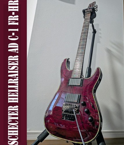 Schecter hellraiser 2012 floyd - schecter,