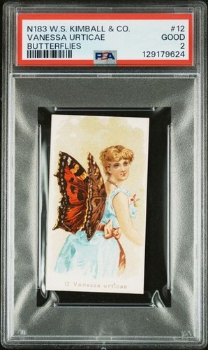 Vanessa urticae 1888 n183 - vanessa,