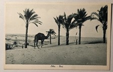 CARTOLINA STORICA - COLONIALISMO FASCISMO, OASI IN LIBIA, 1938