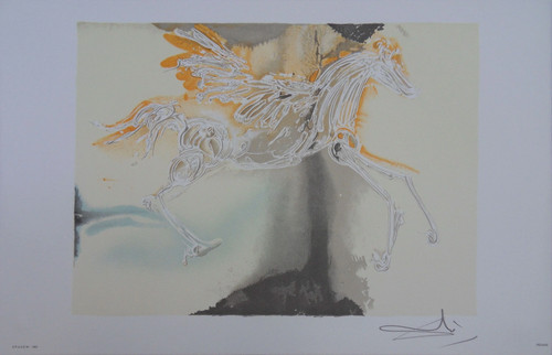 Salvador dali cavalli - salvador,