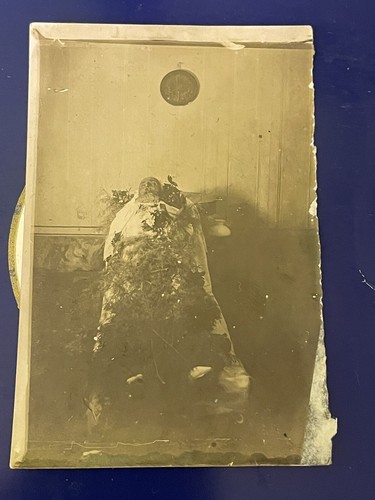 Albumina foto post mortem - foto,