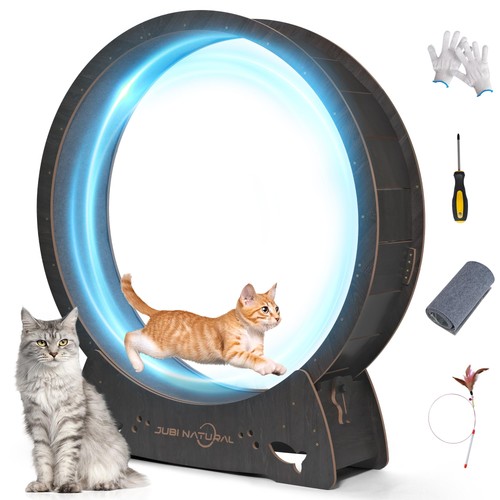 Ruota esercizio gatto xl - ruota,