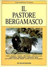 Il Pastore bergamasco -