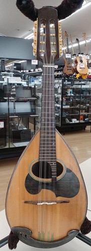 Mandolino suzuki 60 - mandolino, m-60