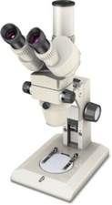microscopio stereo Nikon trinoculare