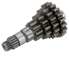 Ingranaggio multiplo