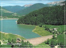 CARTOLINA BASELGA di PINE'