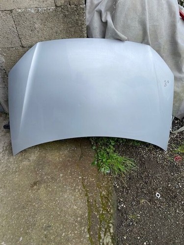 Cofano anteriore volkswagen - anteriore,