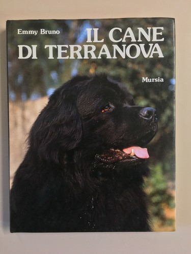 Cane terranova di - cane, emmy