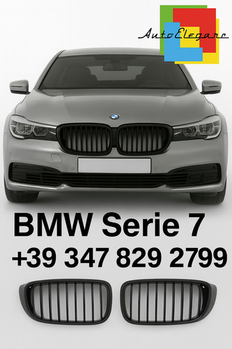 Griglia sportiva bmw - griglia,