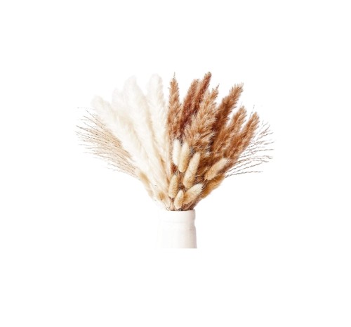 Set erbe decorative - set,
