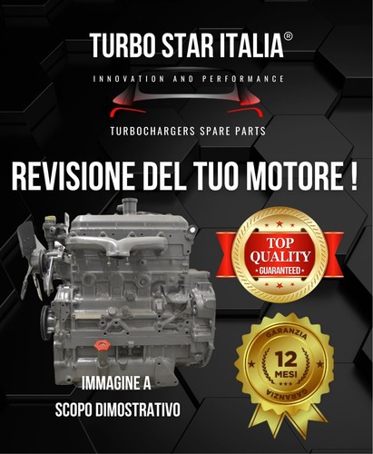 Motore revisionato agricolo - motore,