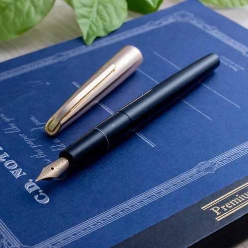 Penna stilografica montblanc - penna,