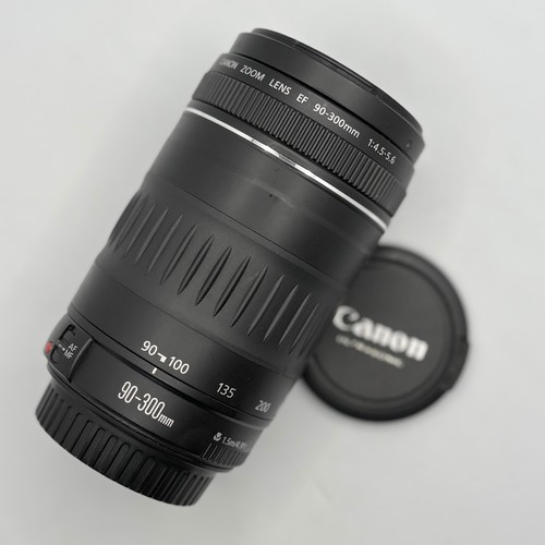 Canon 300 4 - 90-300, f/4.5-5.6
