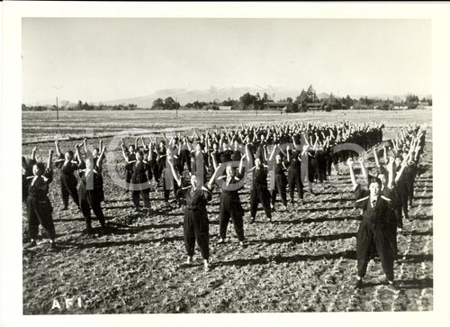1941 tokyo esercizi ginnici - esercizi,