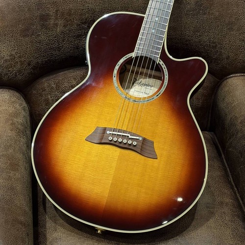 Chitarra elettrica acustica
