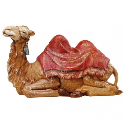 Cammello seduto con - con, coperta