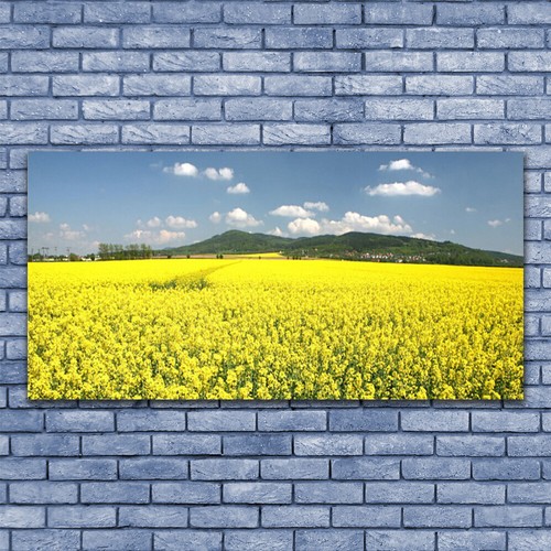 Stampa tela canvas 140x70 - su,