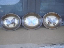 lotto di 3 quadretti ovali in