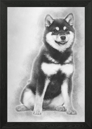 Quadro shiba inu cucciolo - cucciolo, 45
