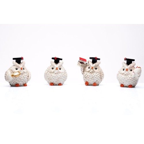 Gufo gufetto laurea in - pz,
