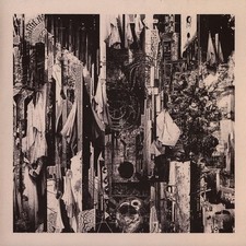 Wren - Black Rain Falls (Vinyl LP - 2025 - WW - Original)