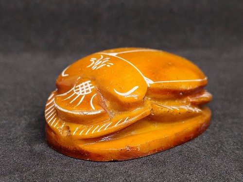 Egyptian scarab beetle - egyptian,