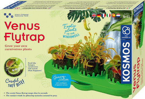 616977 piante carnivore set - piante,