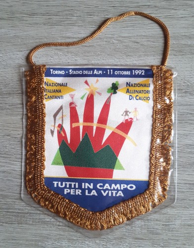 Gagliardetto calcio torino - gagliardetto,