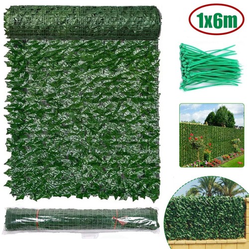Siepe oscurante 1x6 - , m