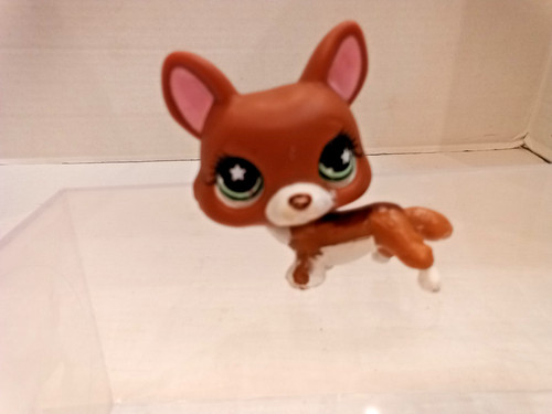Littlest pet - littlest,