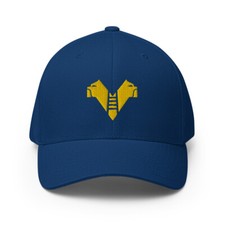 Hellas Verona FC Retro
