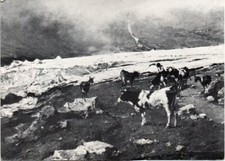 Biella - Lorenzo Delleani -