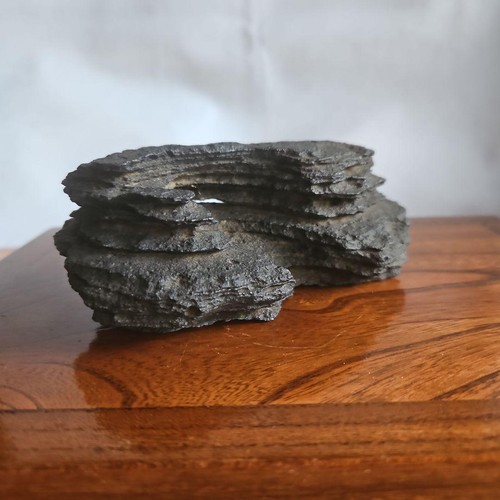 Bonsai suiseki bonseki - bonsai,