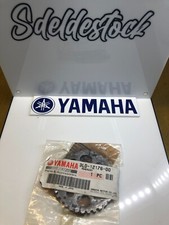 1 pignone distribuzione catena