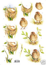 DECOUPAGE - carta per