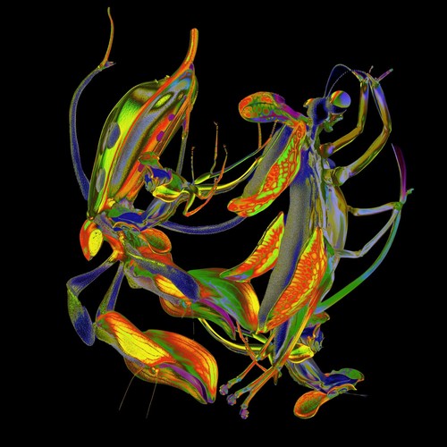 Nobu fabric - dj,