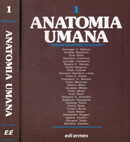 Anatomia umana a v - umana,
