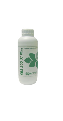 Sbs 200 plus 1 - plus, lt