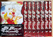 Rose versailles lady - rose,