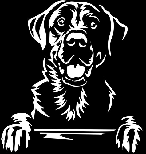 Adesivo labrador - adesivo,