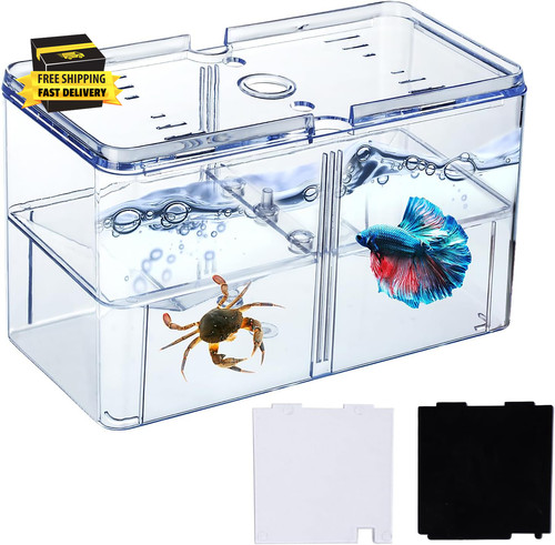 Piccola vasca per - , betta