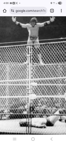 Wrestling superstars greatest - superstars,
