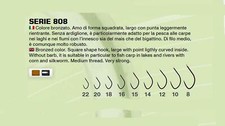 Ami da pesca TUBERTINI serie 808 bronzato,senza ardiglione,adatto carp fishing