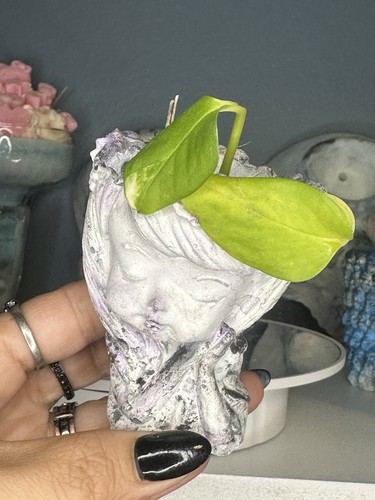 Vasi per piante - per,