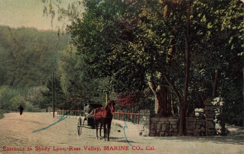 Cartolina shady lane - cartolina,