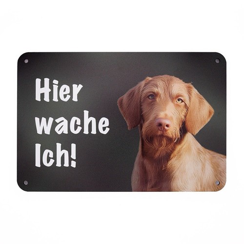 Targa cane magyar vizsla pelo - magyar,